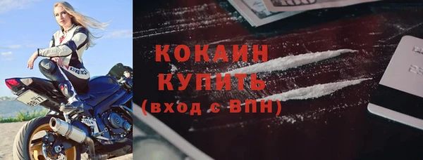 твердый Абаза