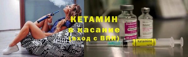 крисы Каменка