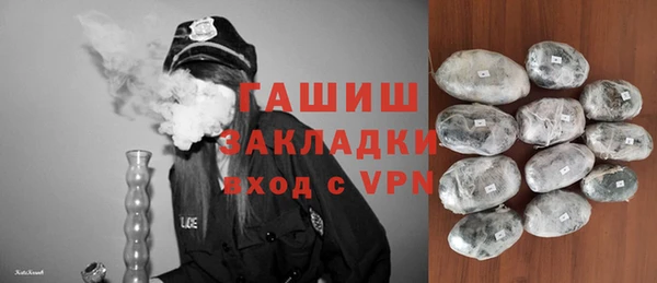 индика Заволжье