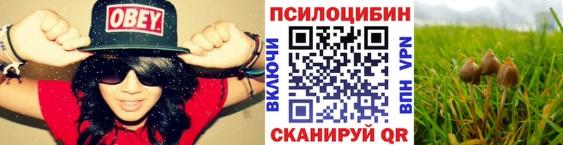Галлюциногенные грибы Psilocybine cubensis  Абинск 